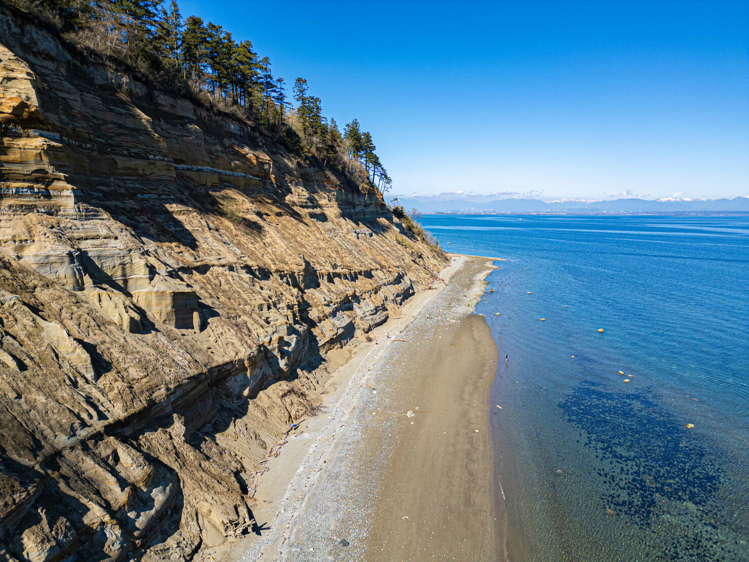 Point Roberts/Cliffs