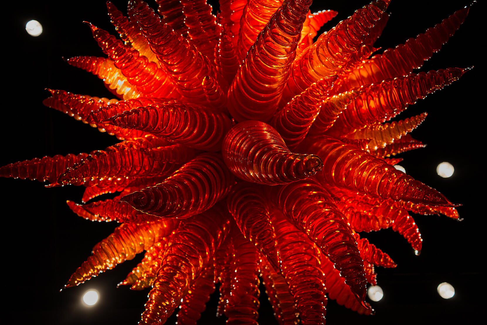 Chihuly Orange/Seattle