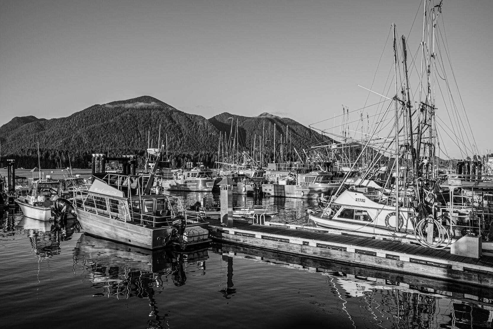 Boats/Reflection